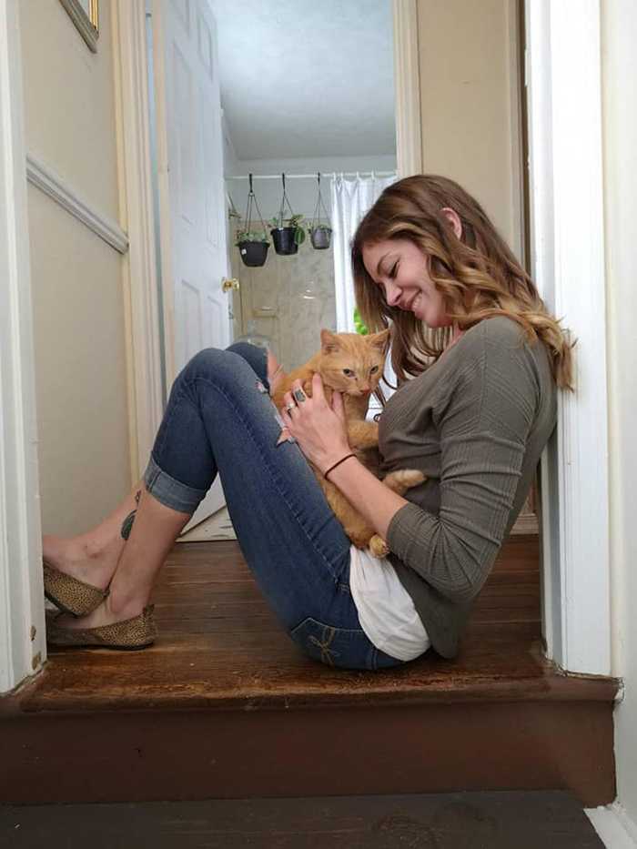 Gato pula direto nos braços de sua dona depois de ficar perdido por 536 dias